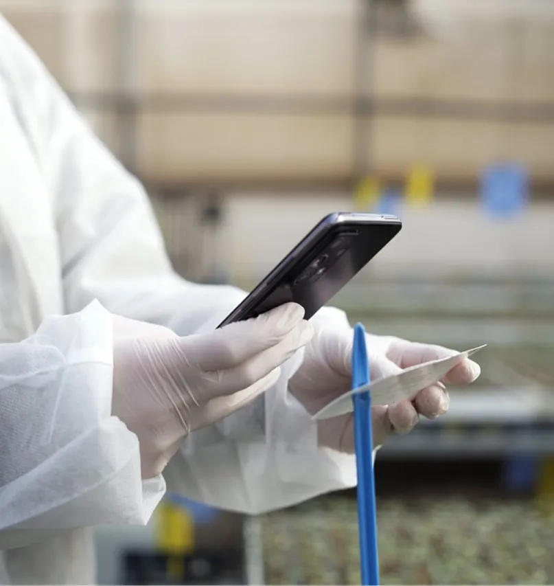 Sistema robótico en entorno agroindustrial